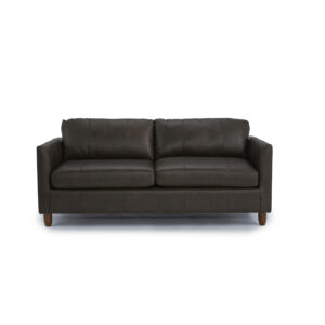 Sleeper Sofa by Best
