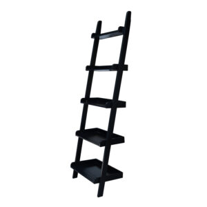 Ladder Shelf by John Thomas